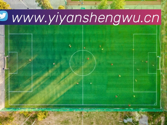 ku酷游平台 - 酷游在线登录 - ku酷游游戏官网平台生态图