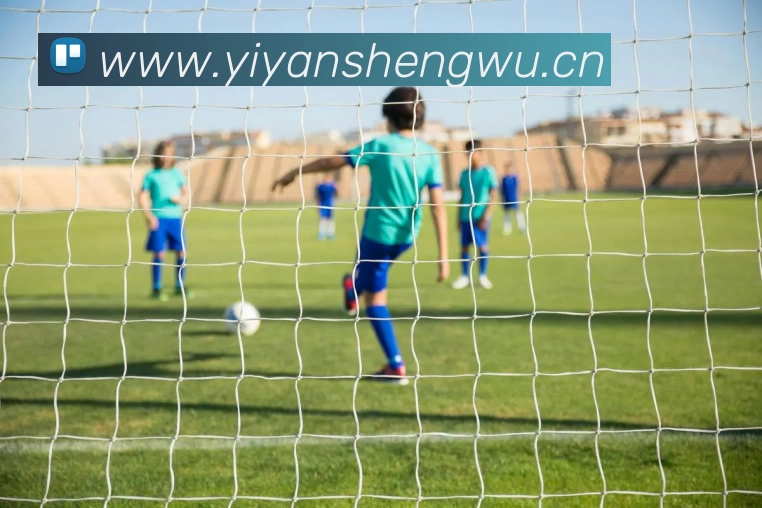 ku酷游平台 - 酷游在线登录 - ku酷游游戏官网APP 封面图